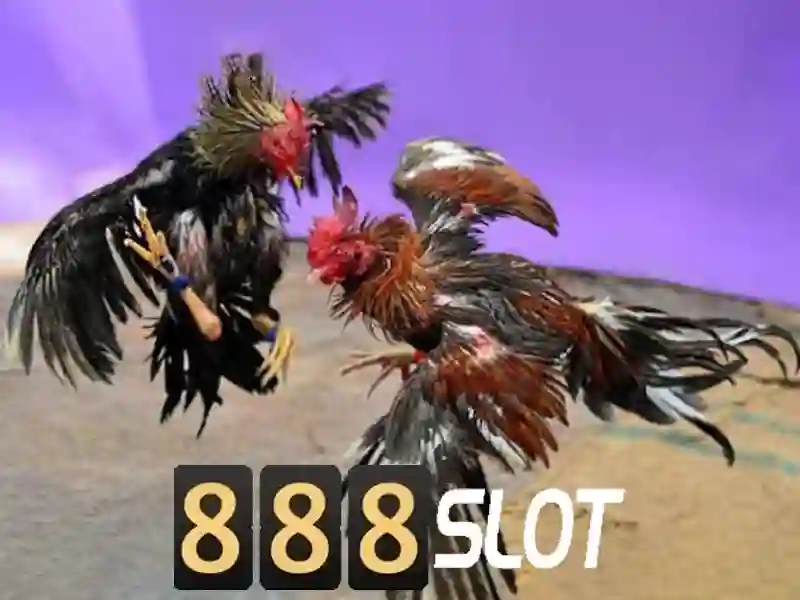 Ưu Điểm Nổi Bật