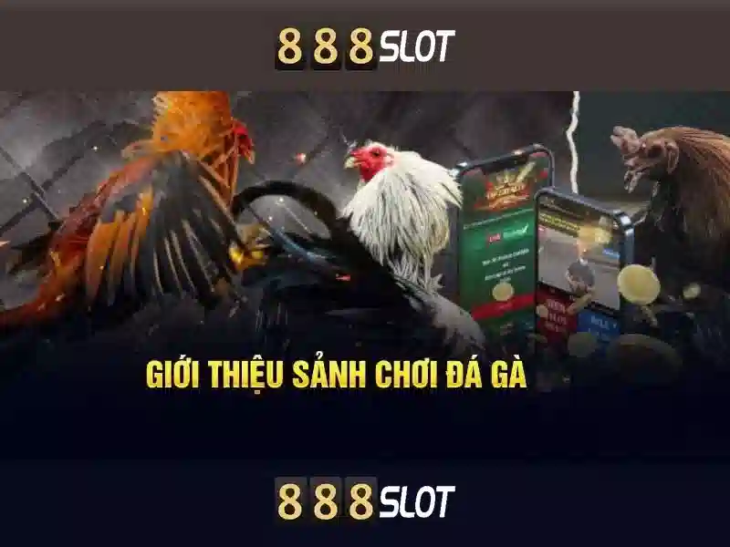 Trải nghiệm slot đỉnh cao 888SLOT