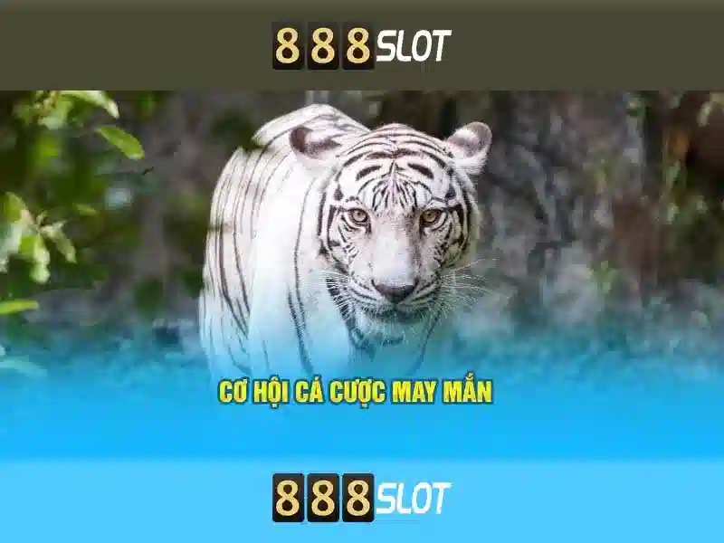 Công Nghệ Slot 3D