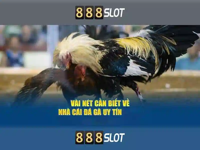 Tải 888SLOT APK 2026