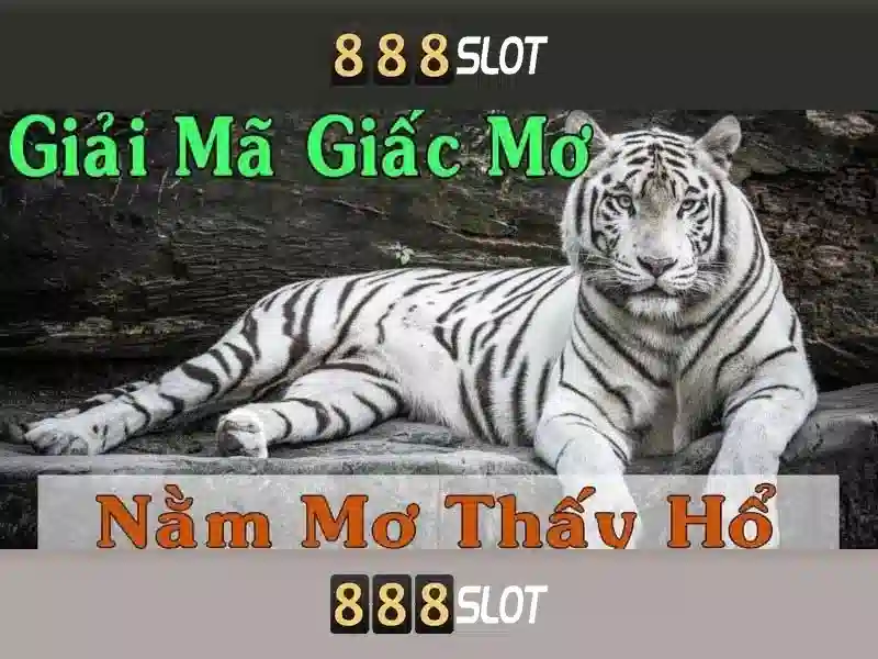 Thể loại Slot đa dạng