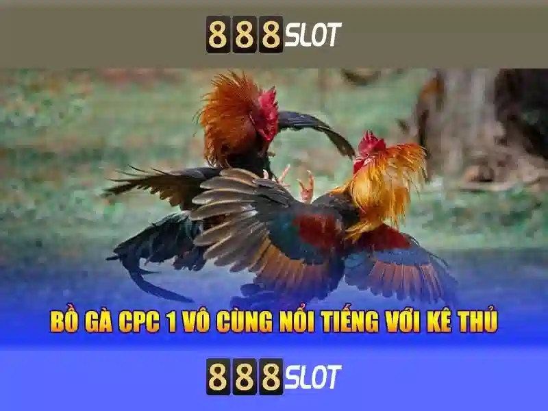 Đặc Điểm Nổi Bật Của 888slot 2026