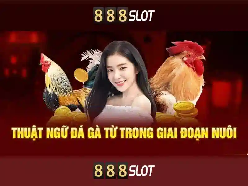 Trải Nghiệm Slot