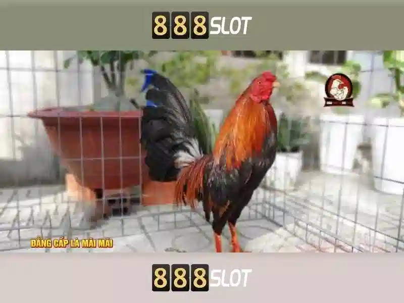 Trải Nghiệm Slot