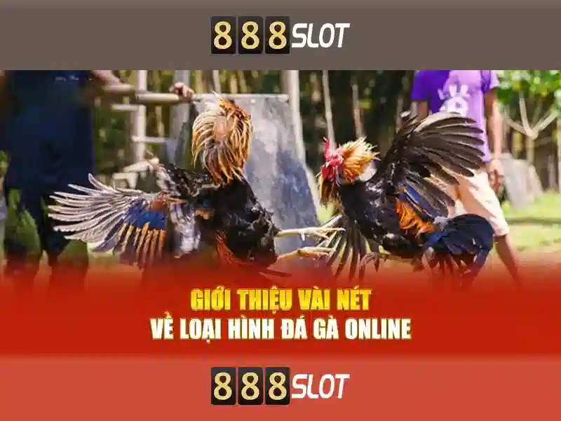 Ưu Đãi Slot