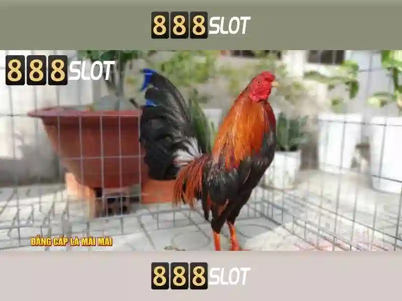 Tin Tức Mới Nhất