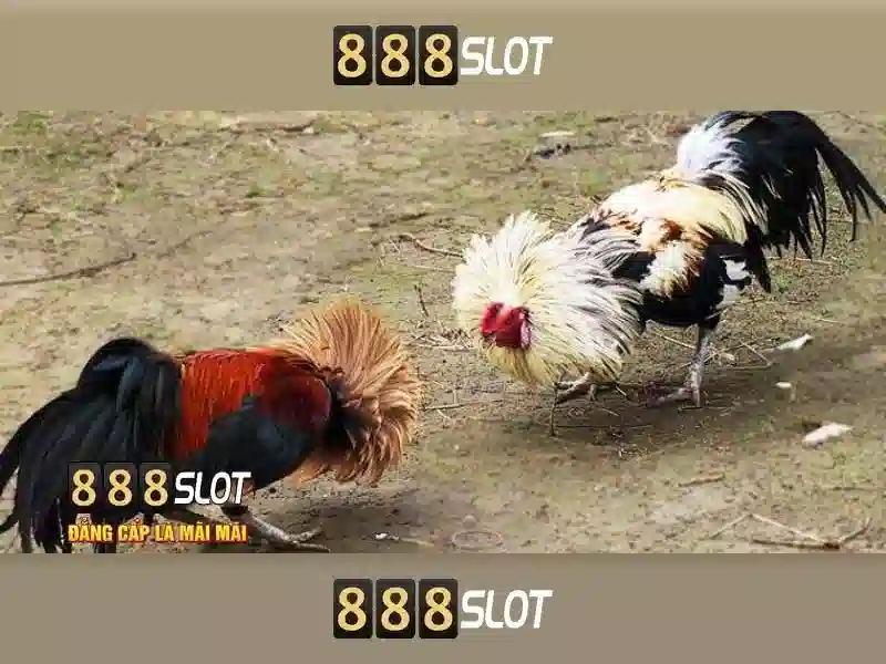 Ưu Điểm Slot