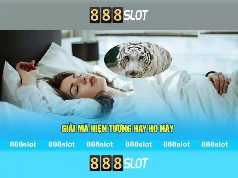 Khuyến Mãi Độc Quyền Cho Thành Viên