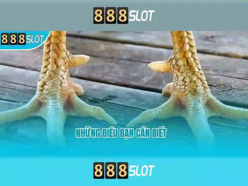 Khuyến Mãi 888SLOT