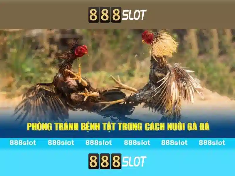 Trải nghiệm chơi slot đỉnh cao