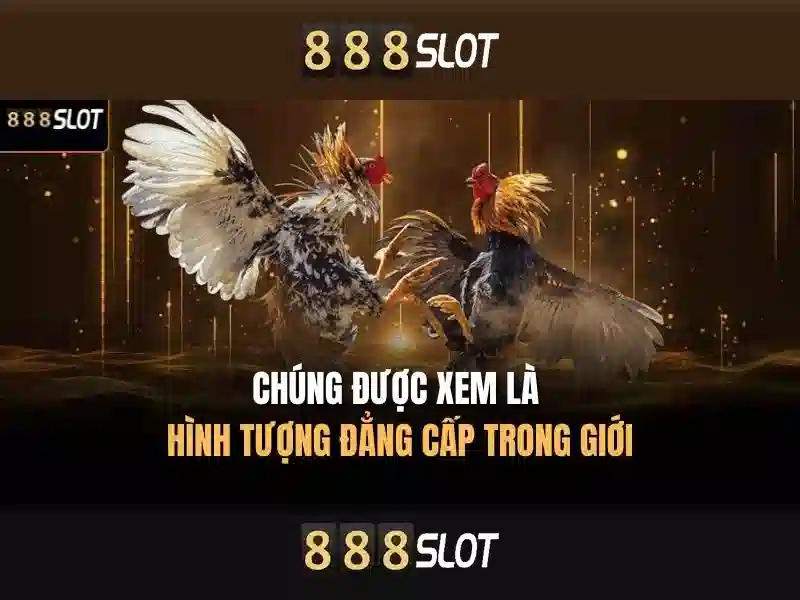 Trải Nghiệm Slot Online