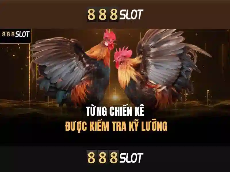 Quy Trình Đăng Nhập 888SLOT
