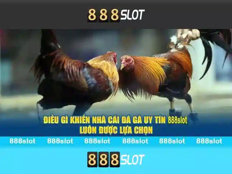 slot 888 bet