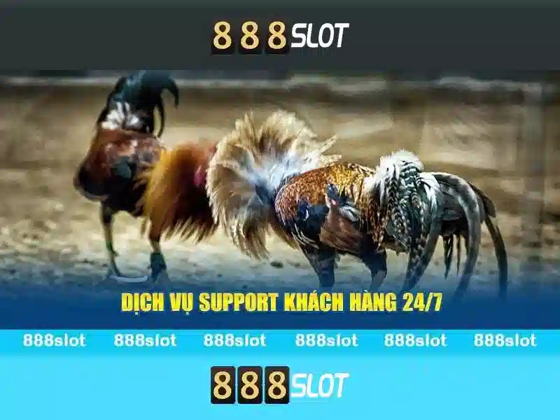Quy Định Quan Trọng 888SLOT