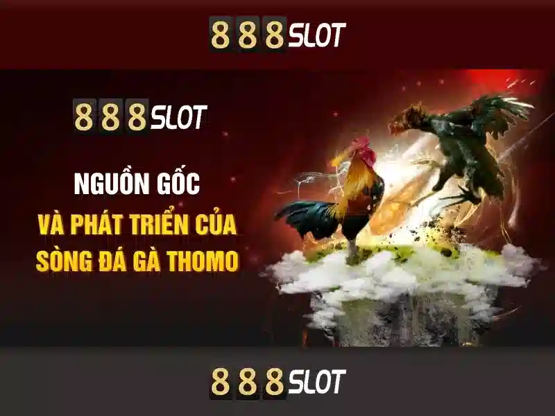 Cá cược slot 888SLOT