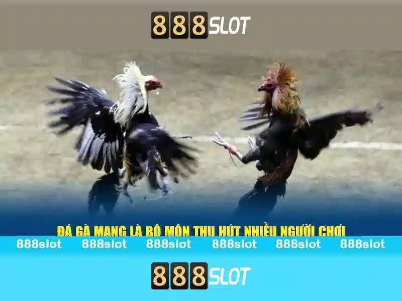 sảnh chơi 888SLOT