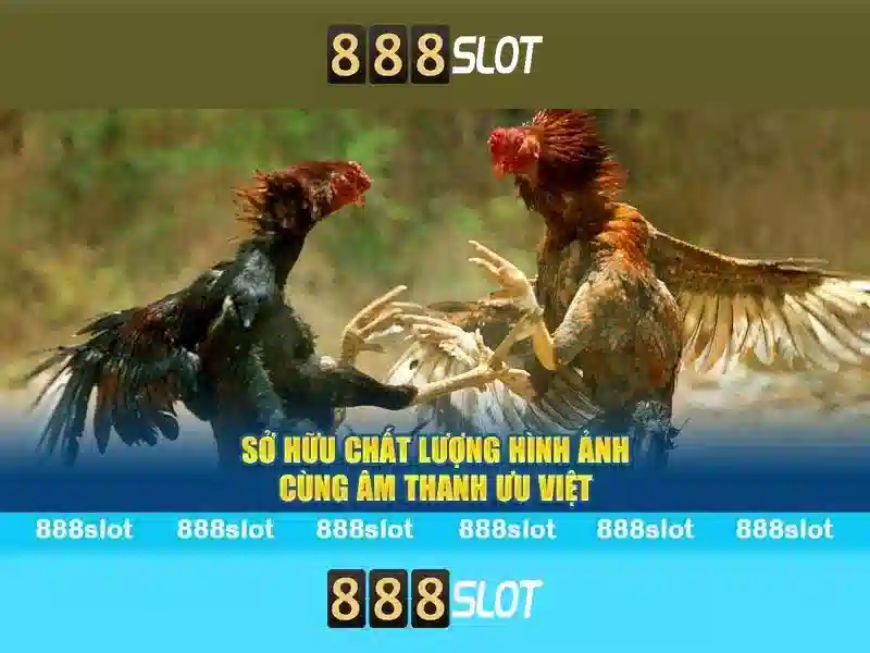 Game Slot 3D
