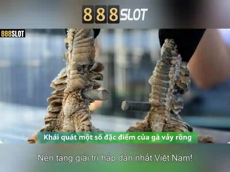 Tải ứng dụng 888slot download