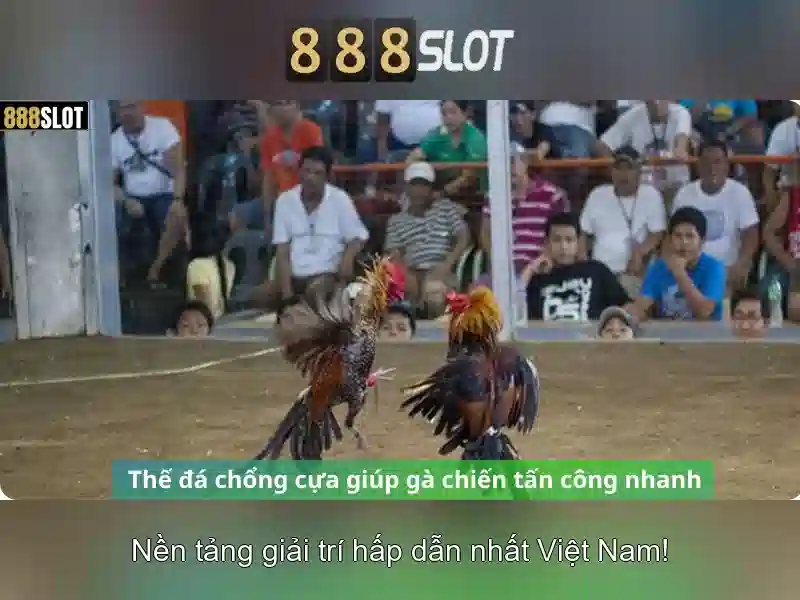 tải apk 888slot