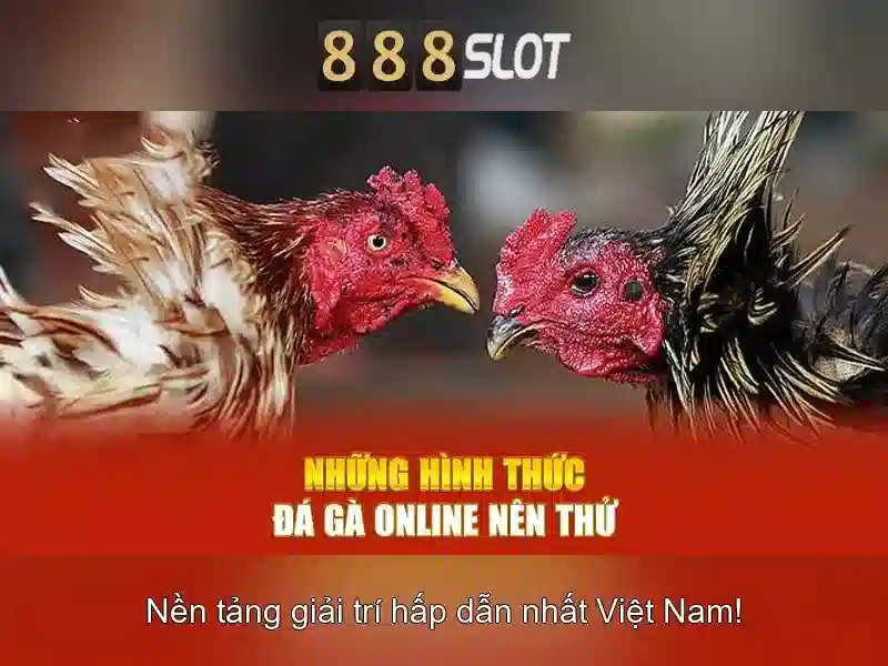 Tại Sao Nên Chọn 888SLOT Cho Người Chơi Slot