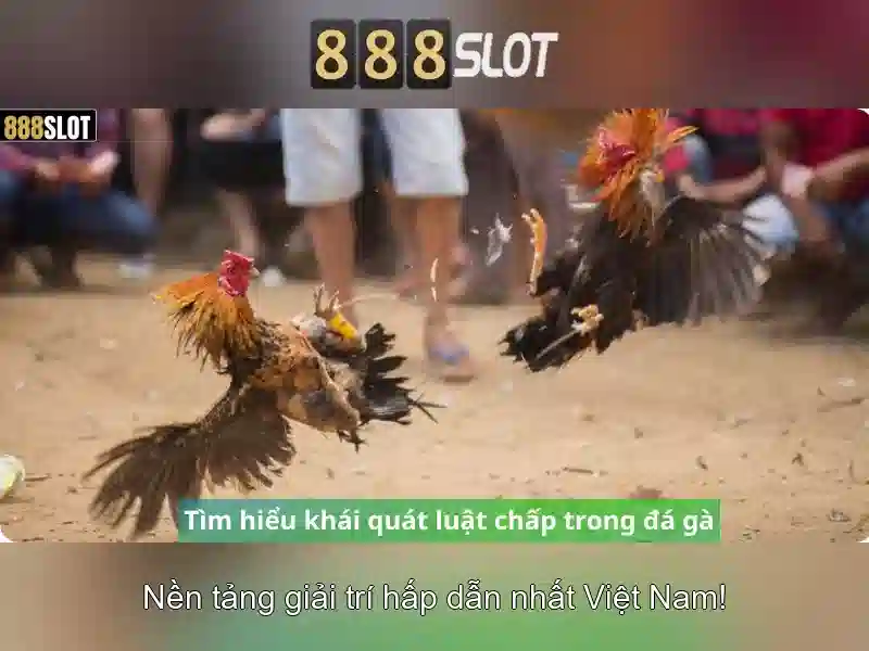 Kênh 888slot channel