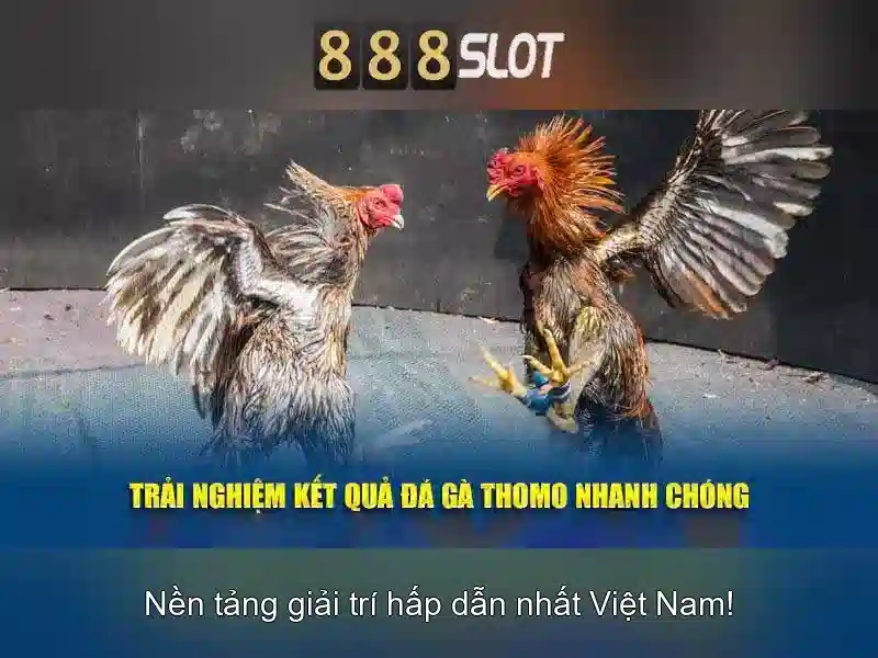 Trang Chủ 888SLOT
