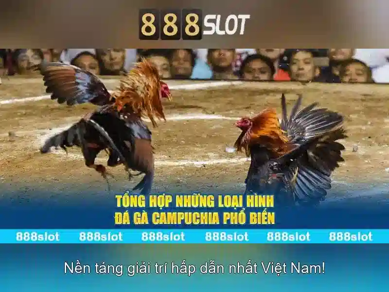 Tỷ lệ thưởng hấp dẫn