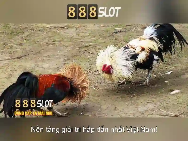 Ứng dụng 888slot Com Apk