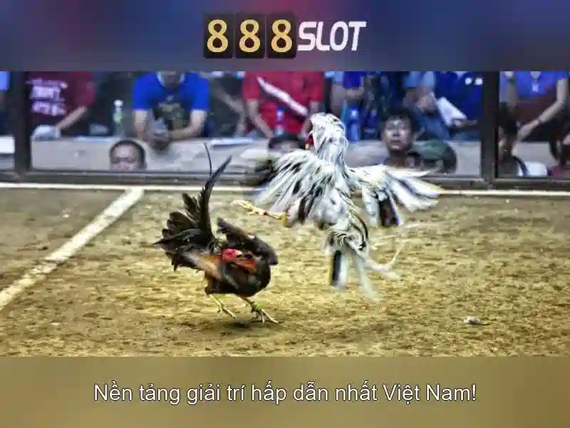 Ưu Đãi Nạp Tiền 888slot 2026