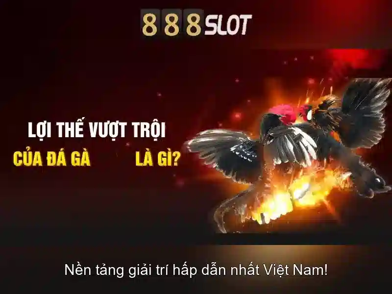 Trải Nghiệm Cá Cược Đỉnh Cao