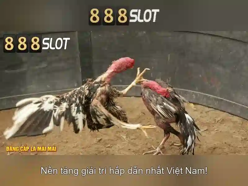 tính năng nổi bật