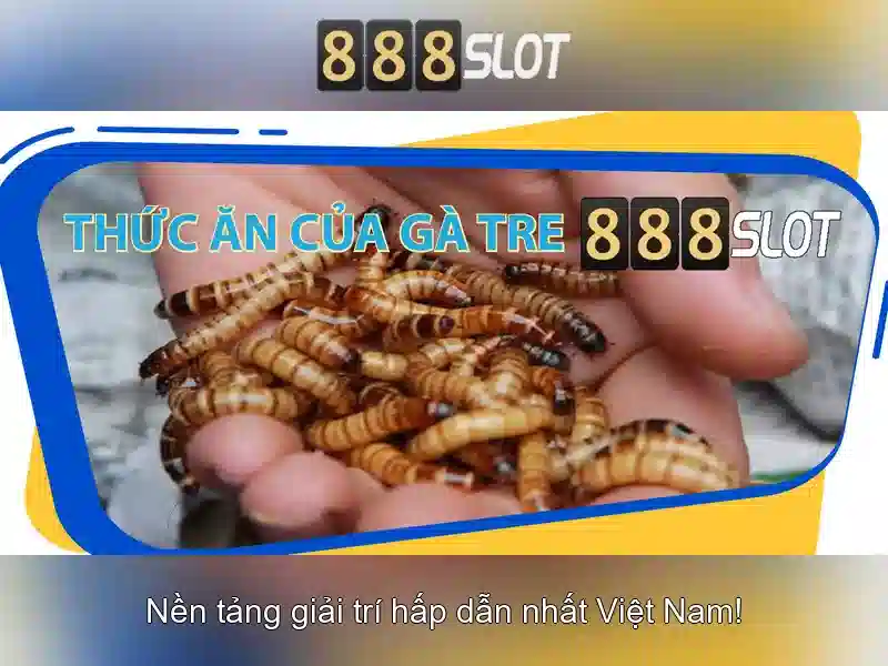 Khám Phá 888SLOT