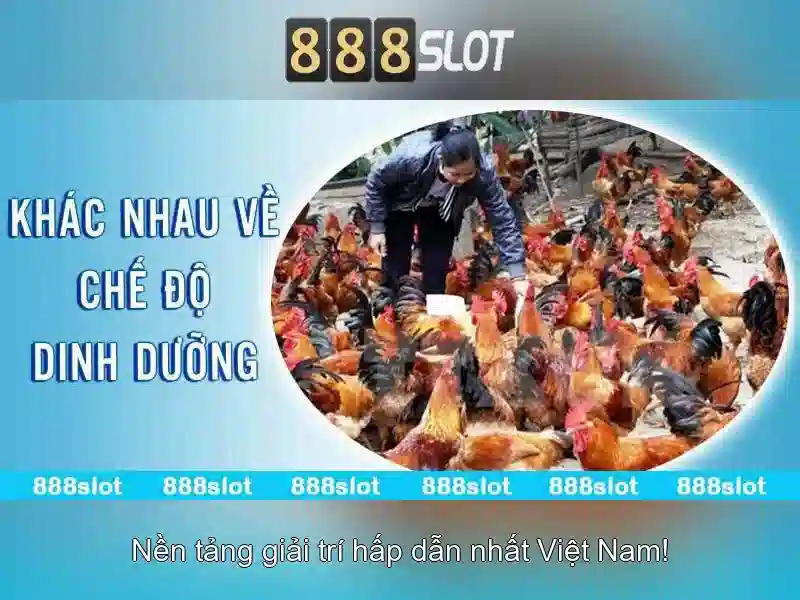 Tải APK 888Slot Com