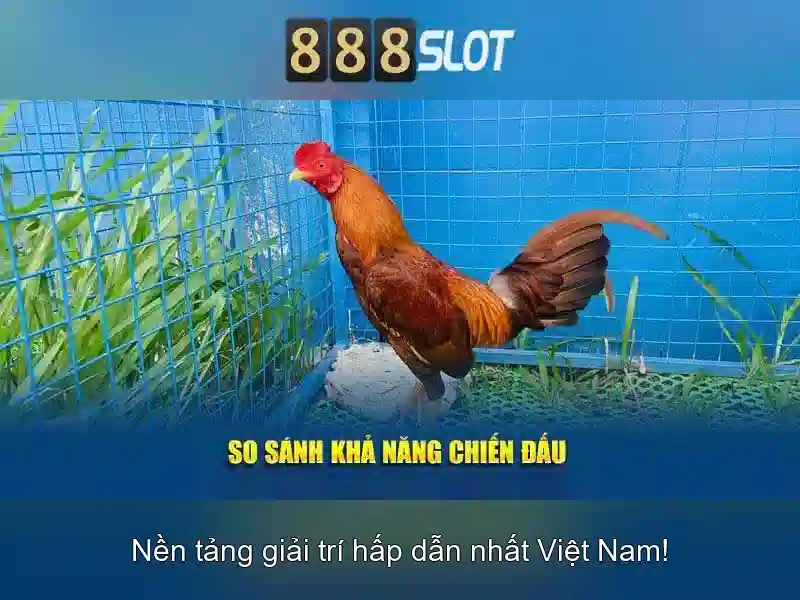 Ưu Đãi Freebet 2026