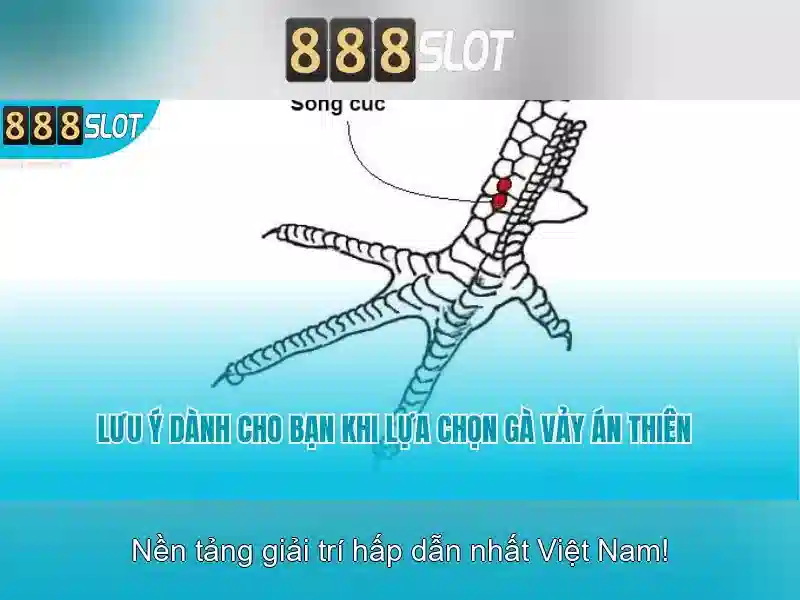 Ưu Điểm 888SLOT